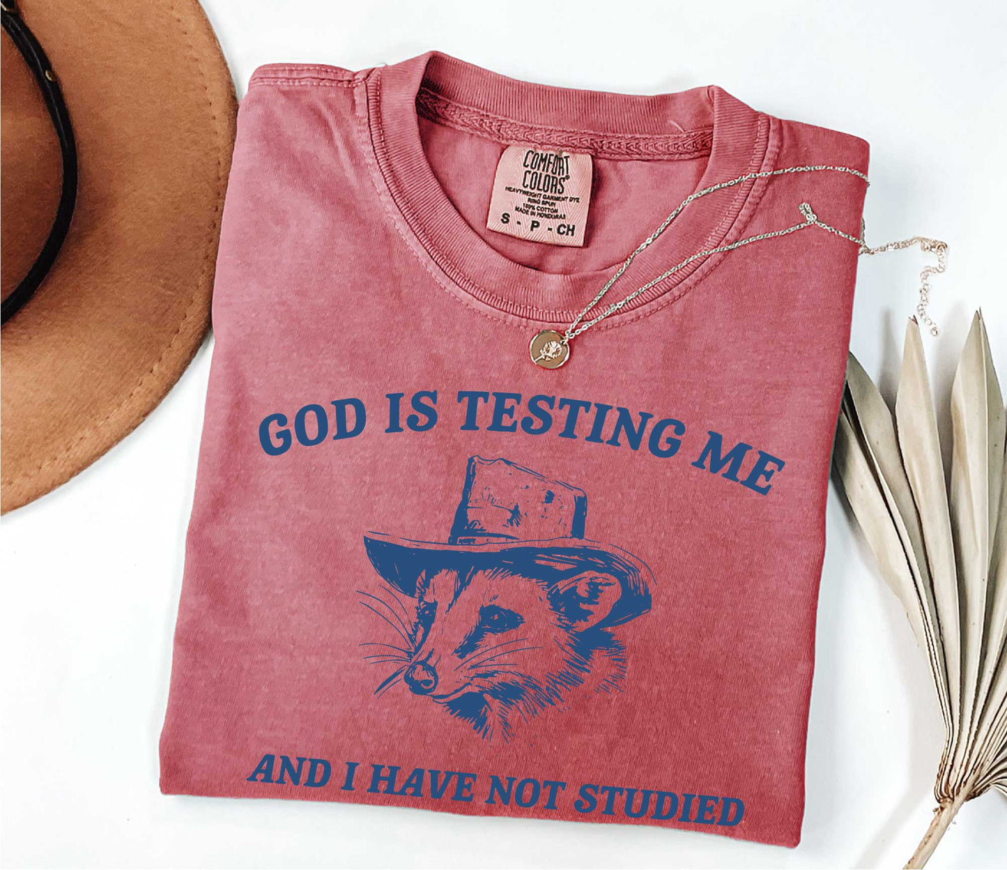 Comfort Colors God Is Testing Me And I Have Not Studied T Shirt Funny Meme Tee Shirt