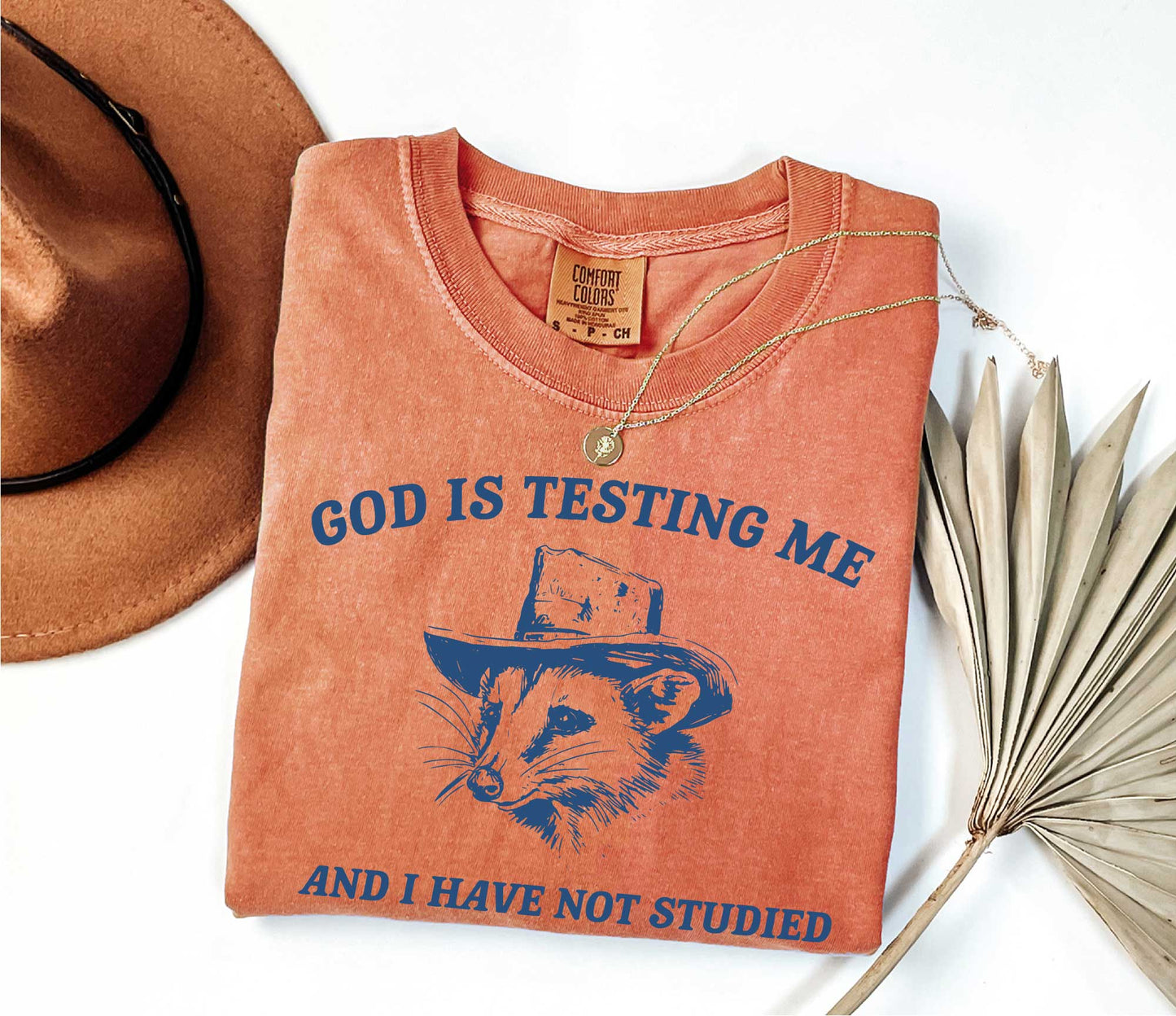 Comfort Colors God Is Testing Me And I Have Not Studied T Shirt Funny Meme Tee Shirt