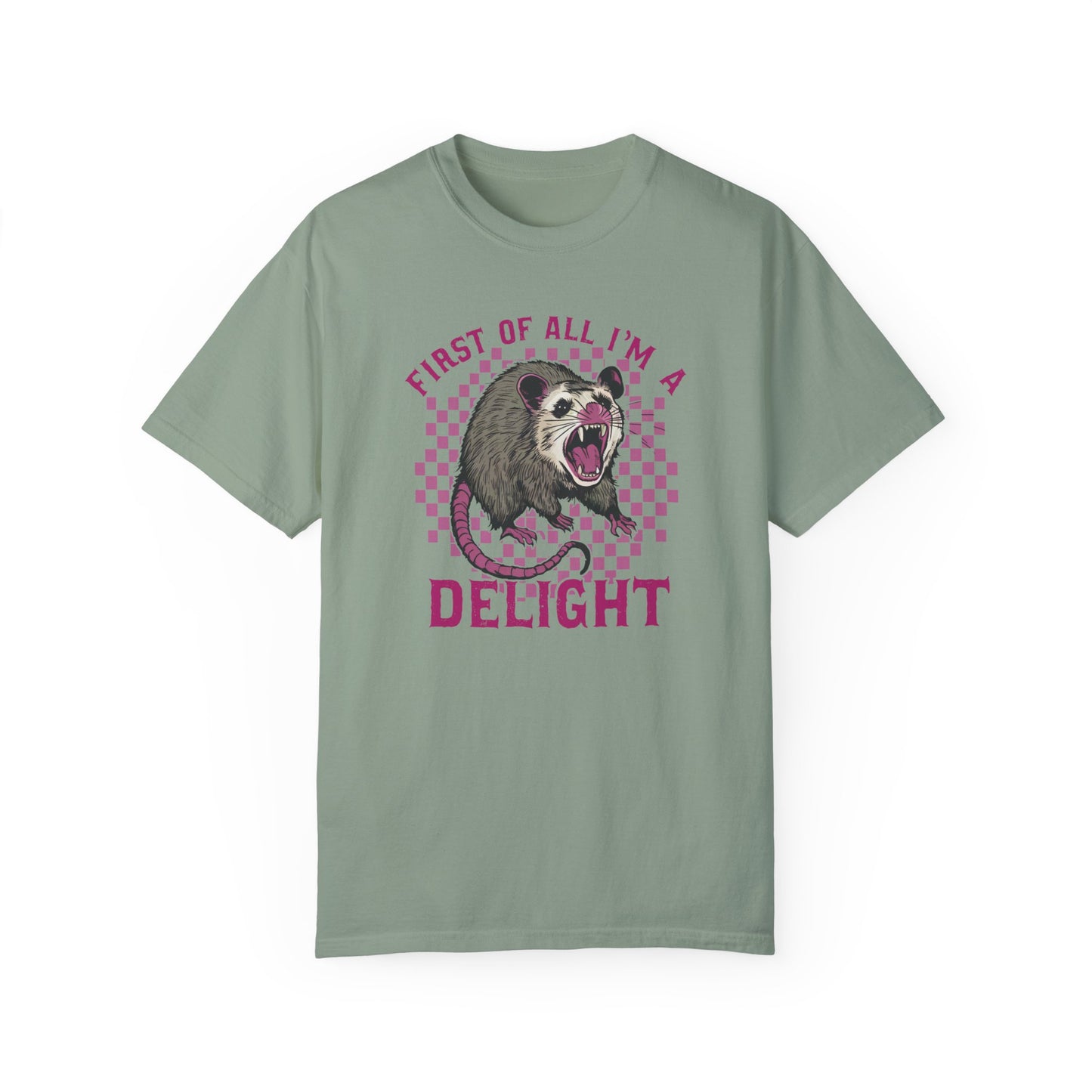 Retro First Of All I'm A Delight Comfort Funny Animal Lover TShirt Bay