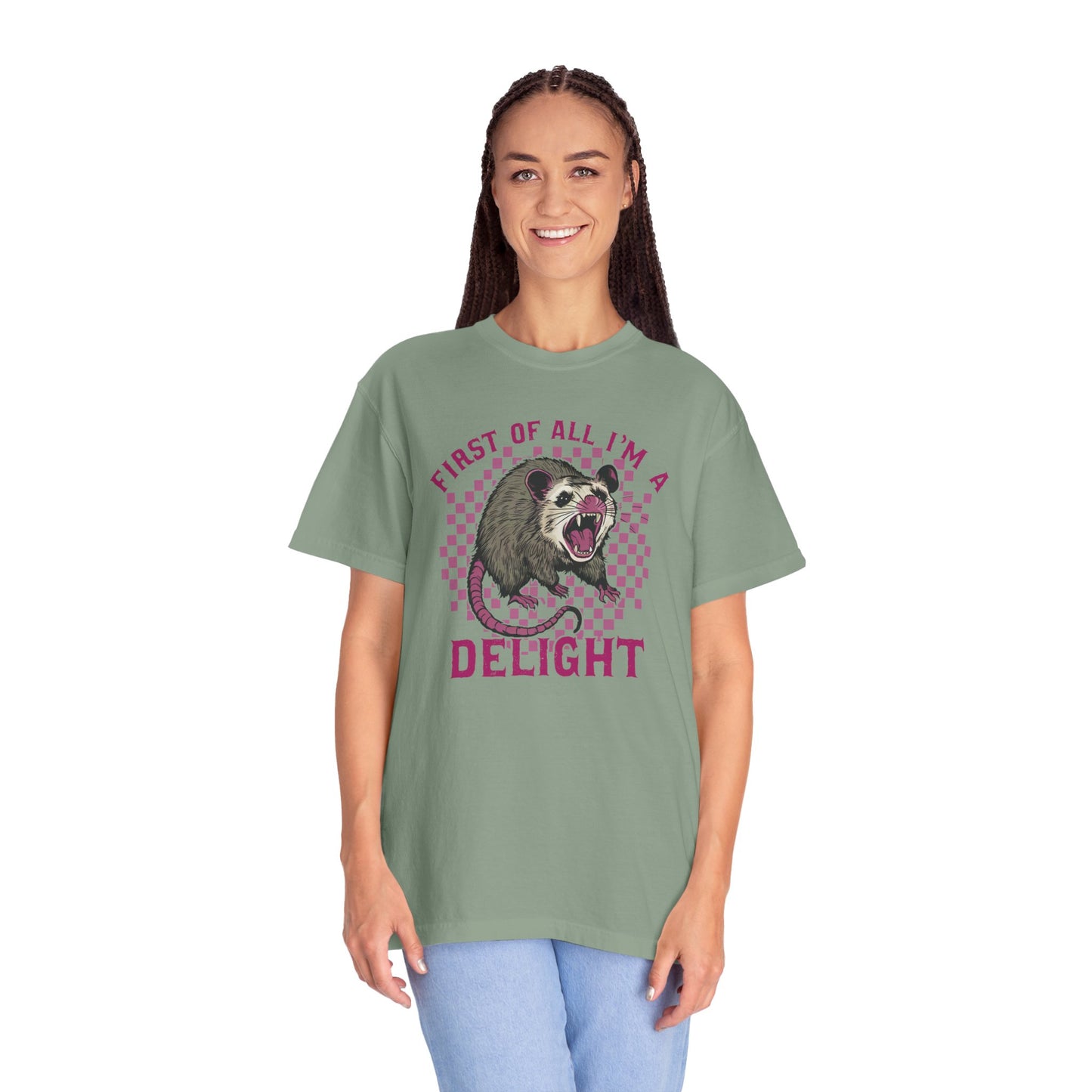 Retro First Of All I'm A Delight Comfort Funny Animal Lover TShirt