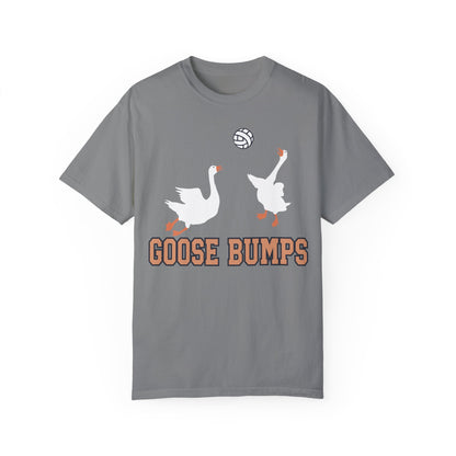 Get Quirky with Our Funny Goose Bumps Geese Volleyball Shirt Grey