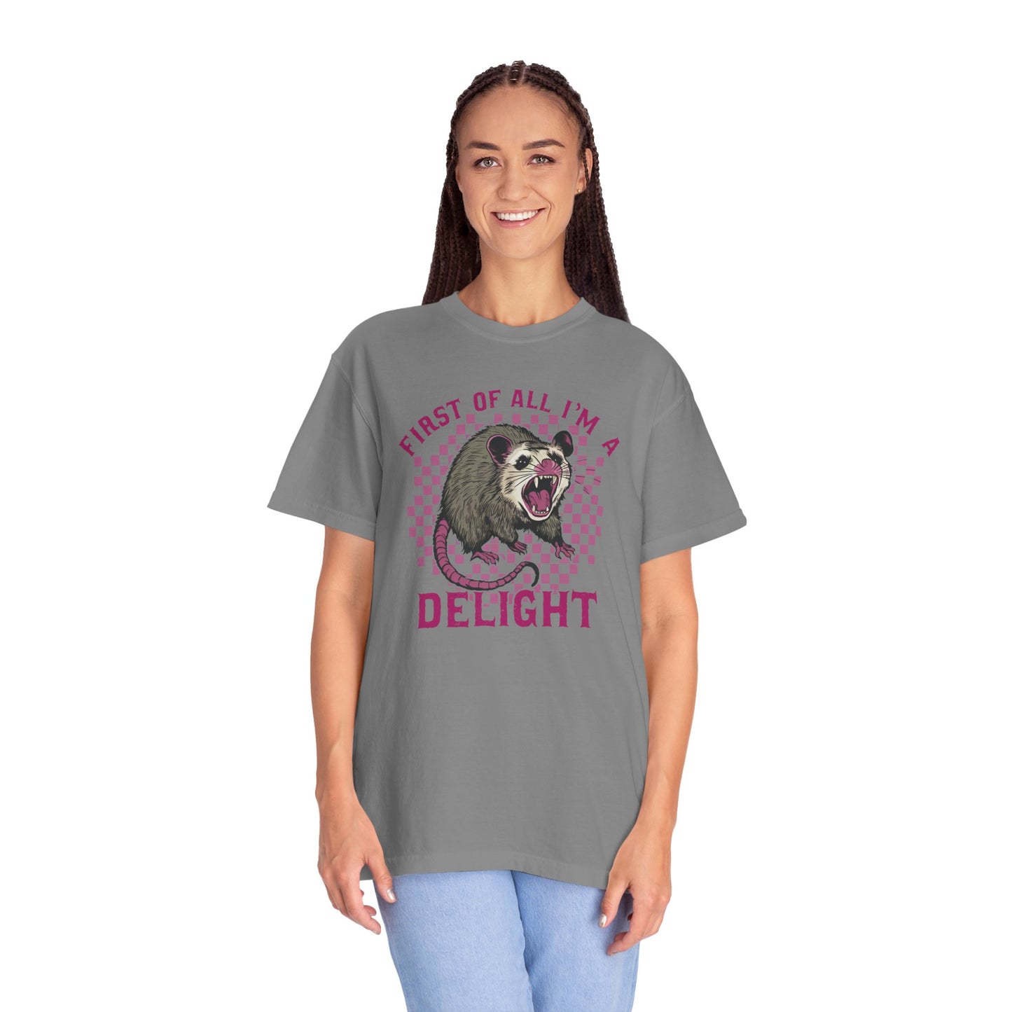 Retro First Of All I'm A Delight Comfort Funny Animal Lover TShirt