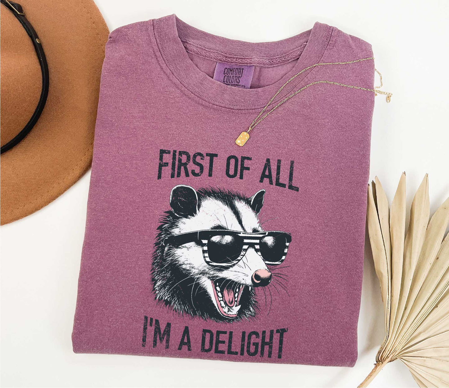 Retro First Of All I'm A Delight Sarcastic Angry Opossum Lover Shirt, Comfort Funny Animal Lover TShirt