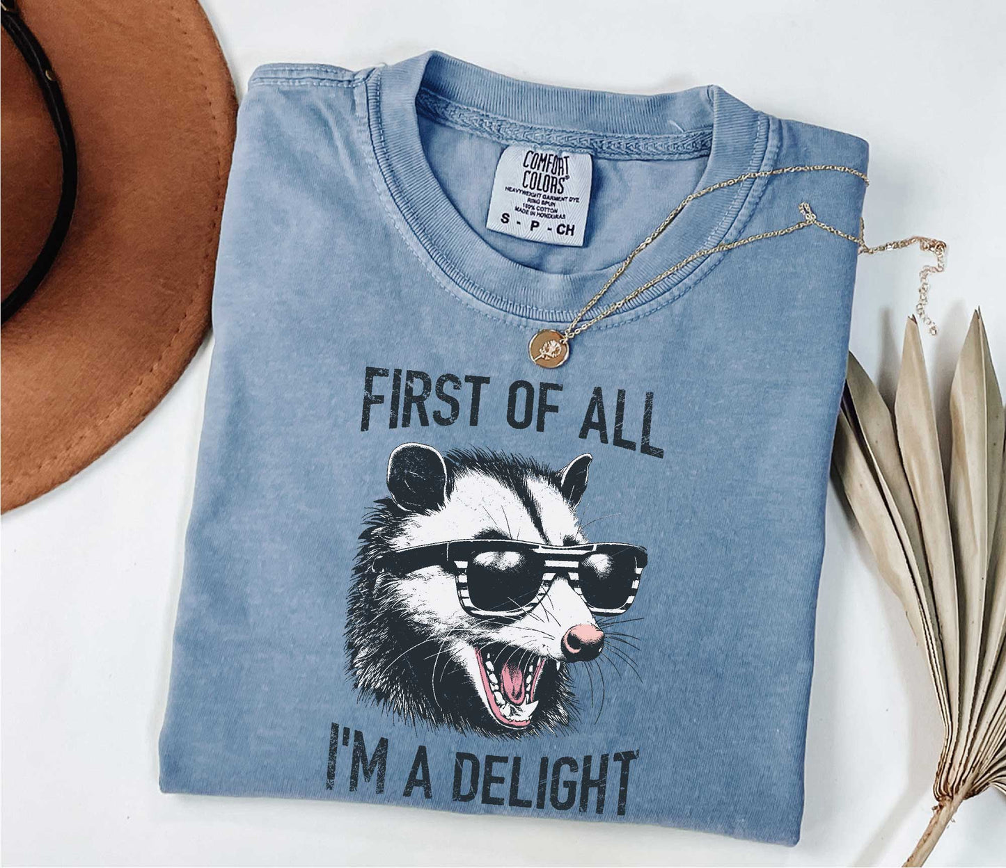 Retro First Of All I'm A Delight Sarcastic Angry Opossum Lover Shirt, Comfort Funny Animal Lover TShirt