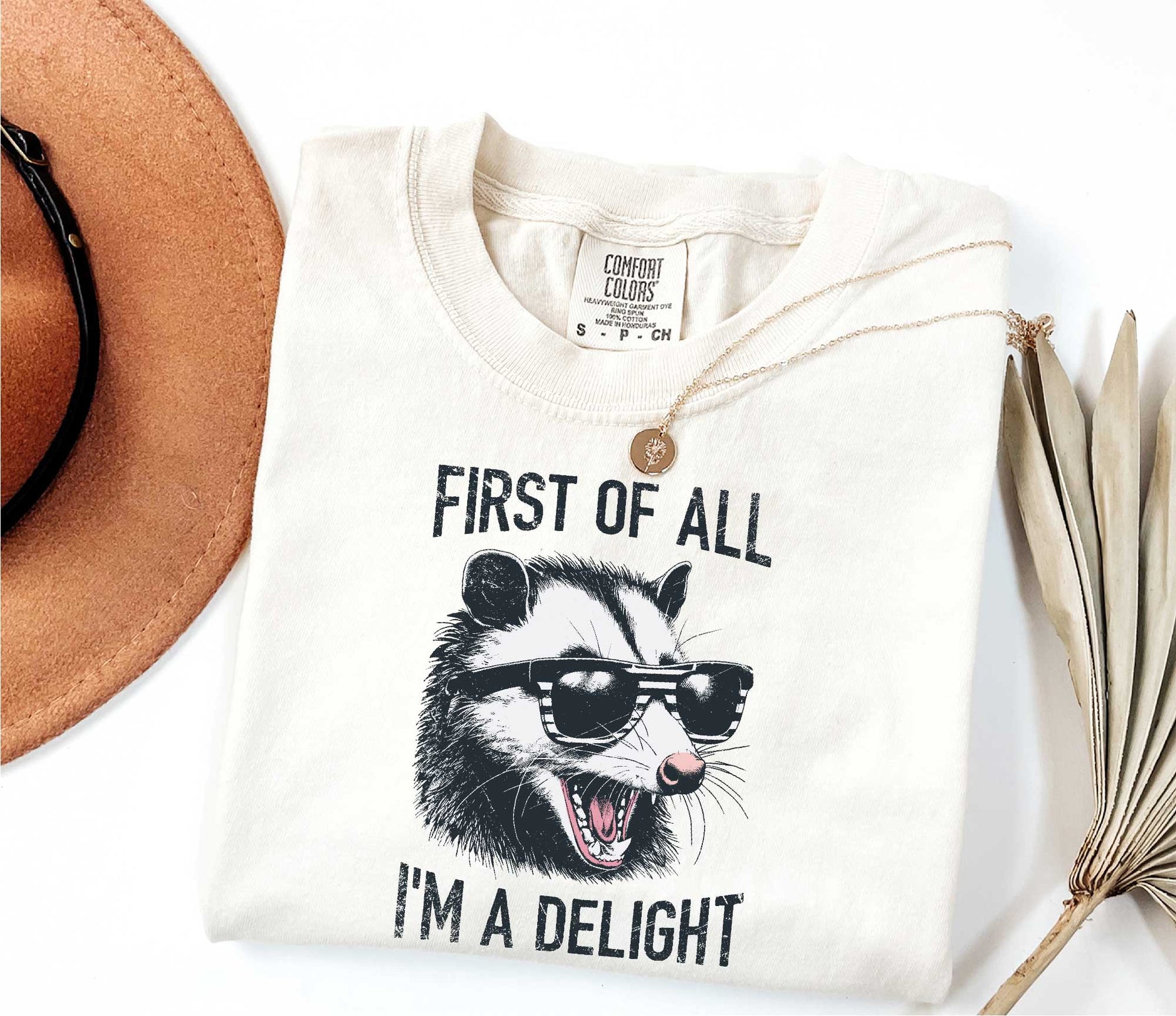 Retro First Of All I'm A Delight Sarcastic Angry Opossum Lover Shirt, Comfort Funny Animal Lover TShirt