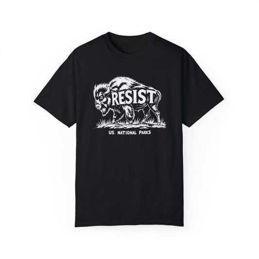 Resist ALT US National Park Shirt - National Park Shirt - National Park Gift - National Park