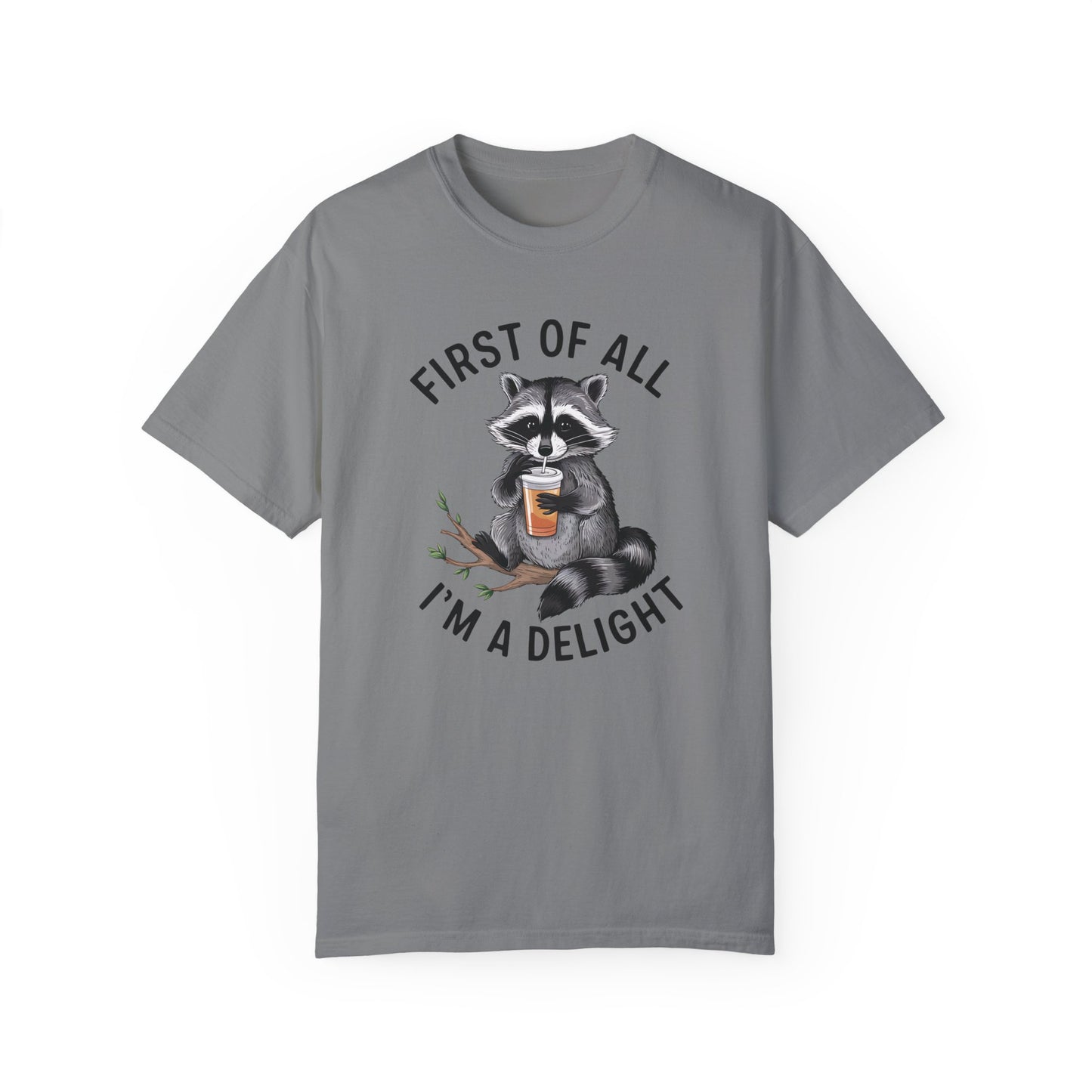 Retro First Of All I'm A Delight Sarcastic Angry Opossum Lover Shirt Grey