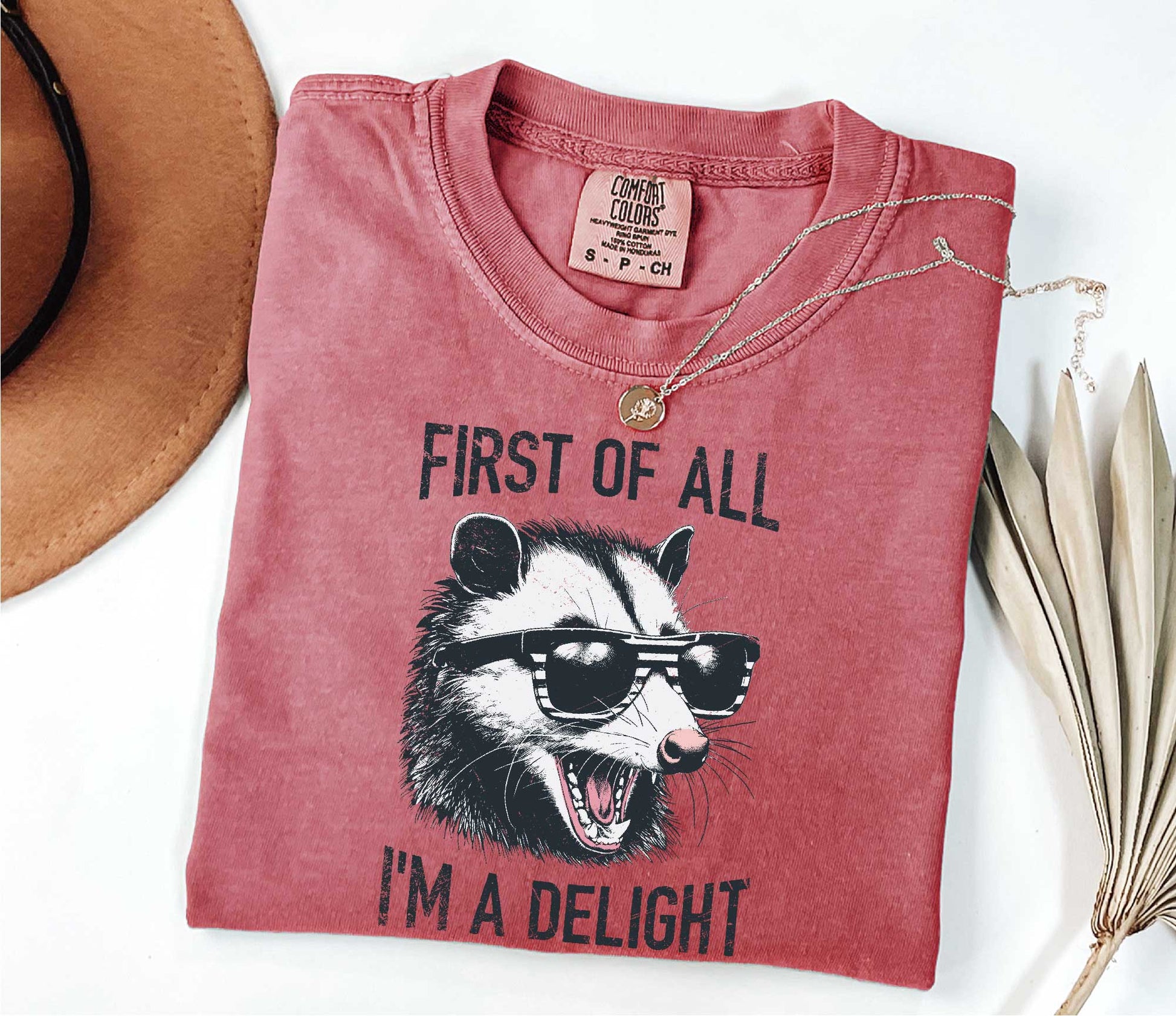 Retro First Of All I'm A Delight Sarcastic Angry Opossum Lover Shirt, Comfort Funny Animal Lover TShirt